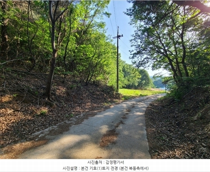 2024타경108934 세종특별자치시 연서면 신대리 307-5 임야 경매 이미지
