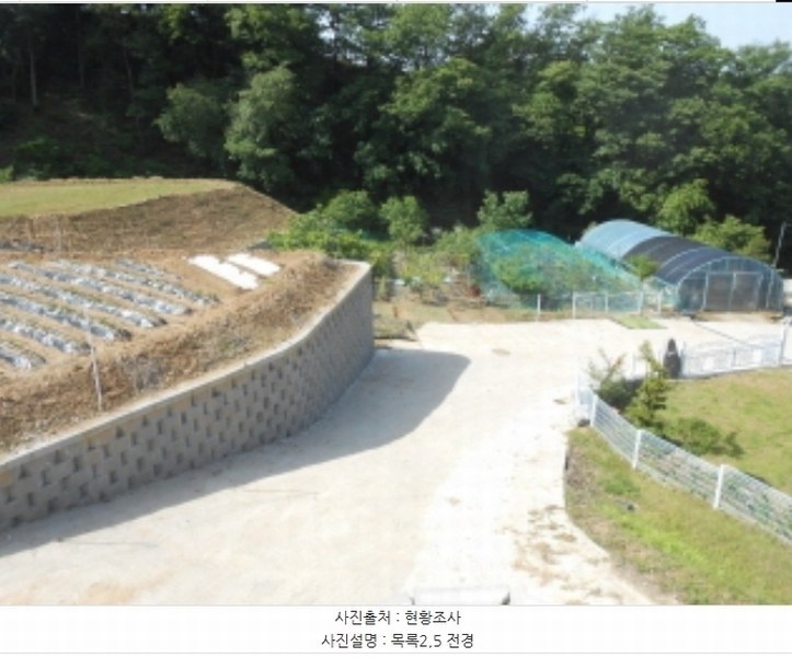 2024타경108934 세종특별자치시 연서면 신대리 307-5 임야 경매 이미지