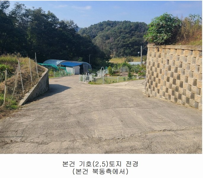 2024타경108934 세종특별자치시 연서면 신대리 307-5 임야 경매 이미지
