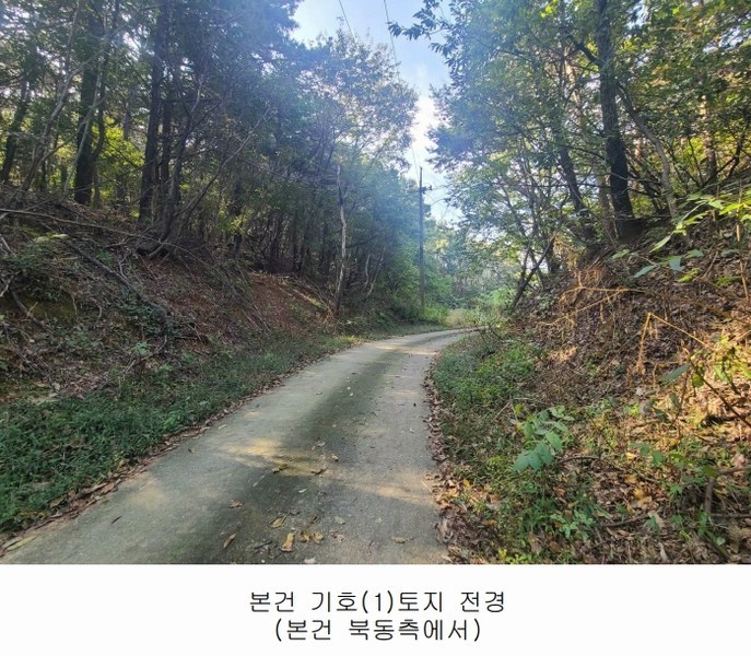 2024타경108934 세종특별자치시 연서면 신대리 307-5 임야 경매 이미지
