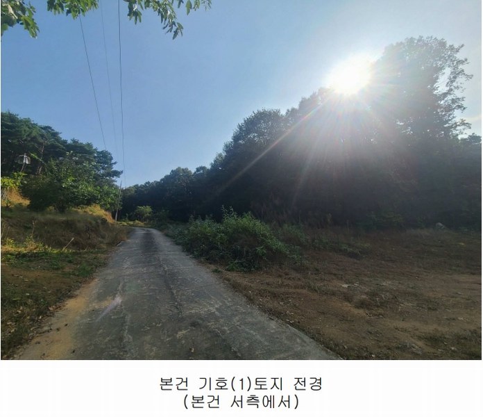2024타경108934 세종특별자치시 연서면 신대리 307-5 임야 경매 이미지
