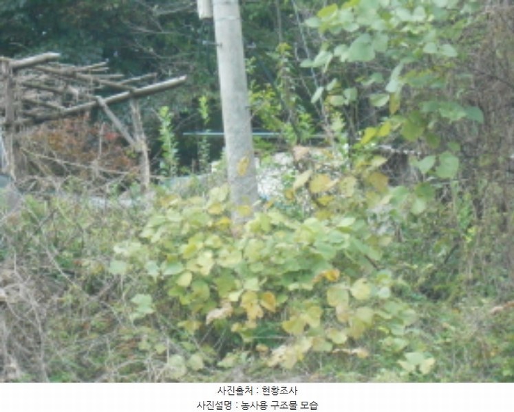 2024타경119002 세종특별자치시 전의면 유천리 141-7 과수원 경매 이미지