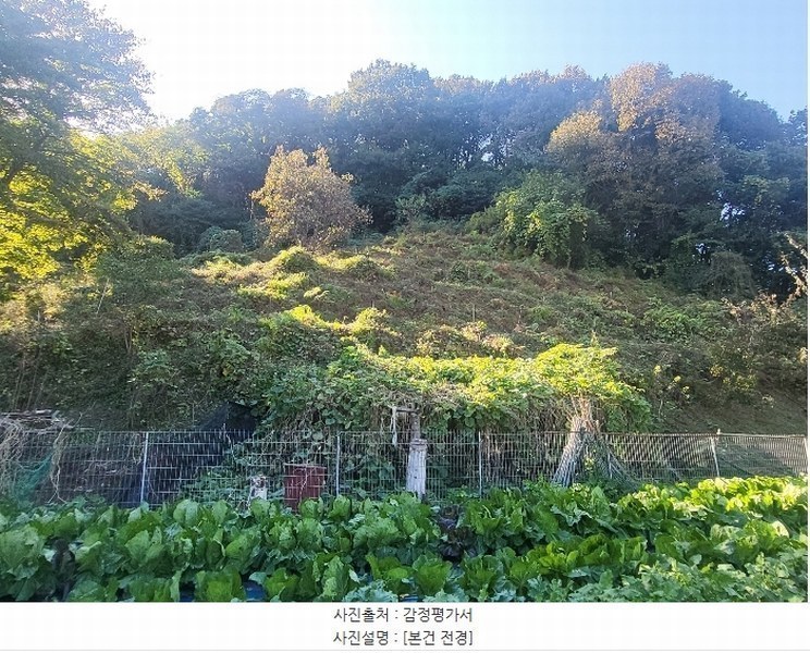 2024타경119002 세종특별자치시 전의면 유천리 141-7 과수원 경매 이미지