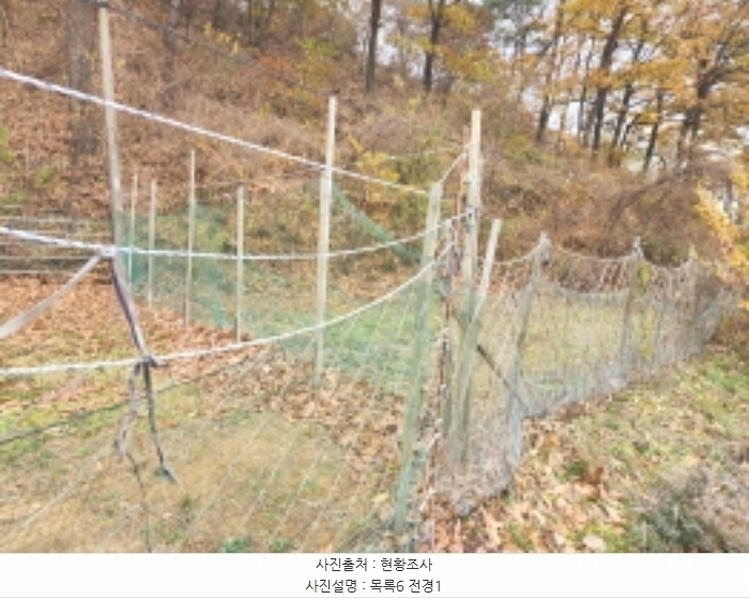 2024타경121500 세종특별자치시 금남면 도남리 84 농지 경매 이미지