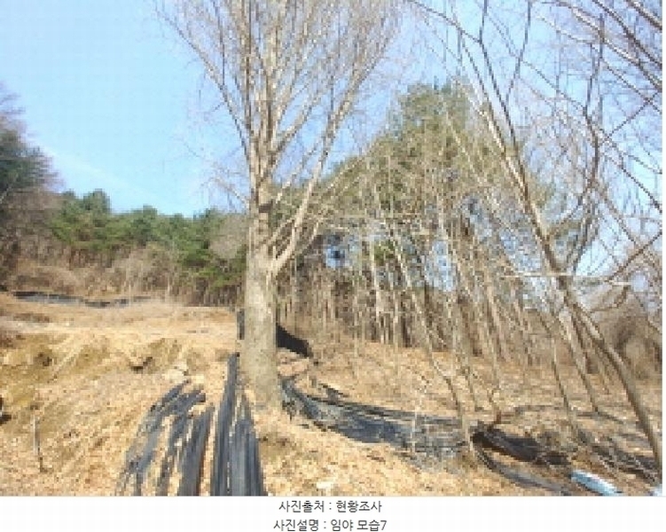 2025타경655 충청남도 금산군 진산면 묵산리 산77-1 임야 경매 이미지