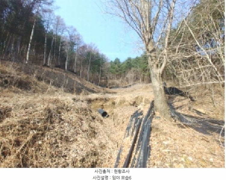 2025타경655 충청남도 금산군 진산면 묵산리 산77-1 임야 경매 이미지