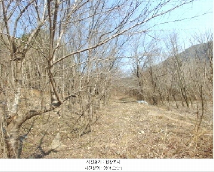 2025타경655 충청남도 금산군 진산면 묵산리 산77-1 임야 경매 이미지