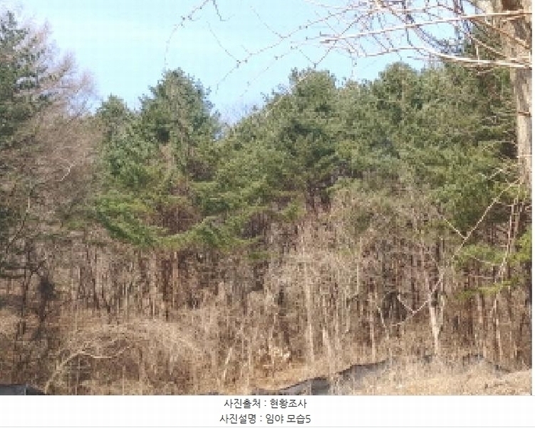 2025타경655 충청남도 금산군 진산면 묵산리 산77-1 임야 경매 이미지