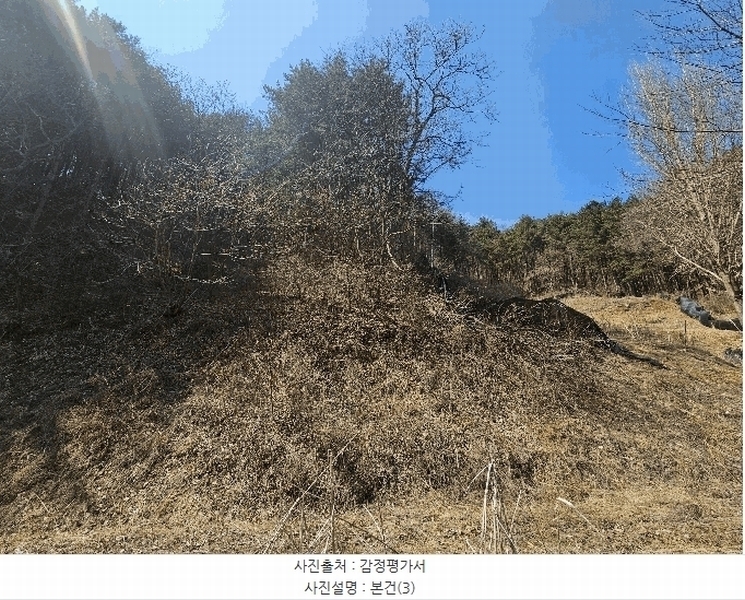 2025타경655 충청남도 금산군 진산면 묵산리 산77-1 임야 경매 이미지