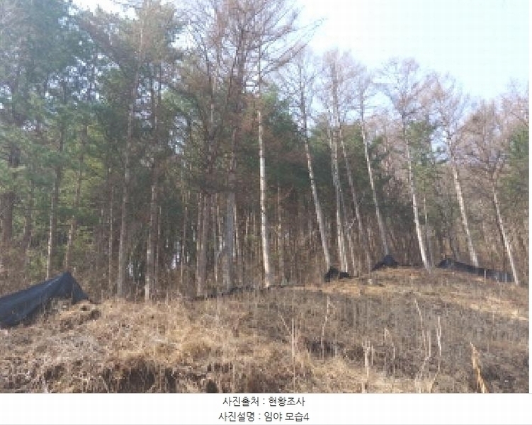 2025타경655 충청남도 금산군 진산면 묵산리 산77-1 임야 경매 이미지