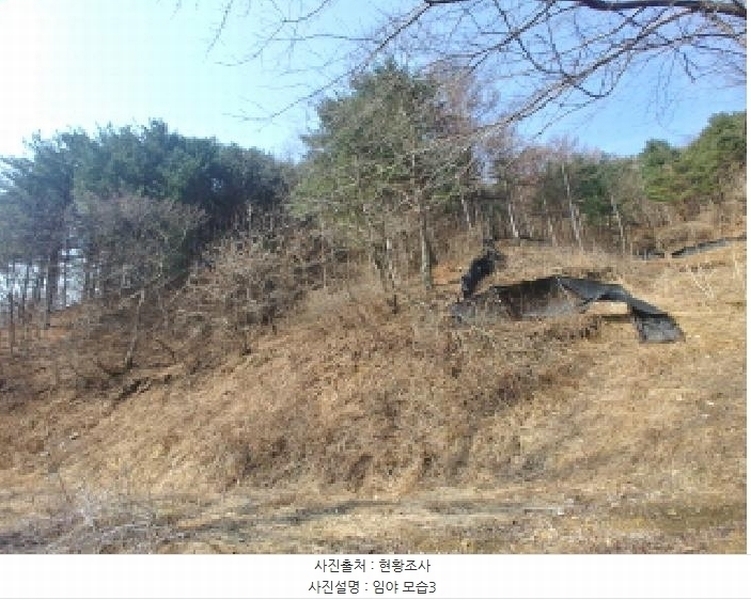 2025타경655 충청남도 금산군 진산면 묵산리 산77-1 임야 경매 이미지