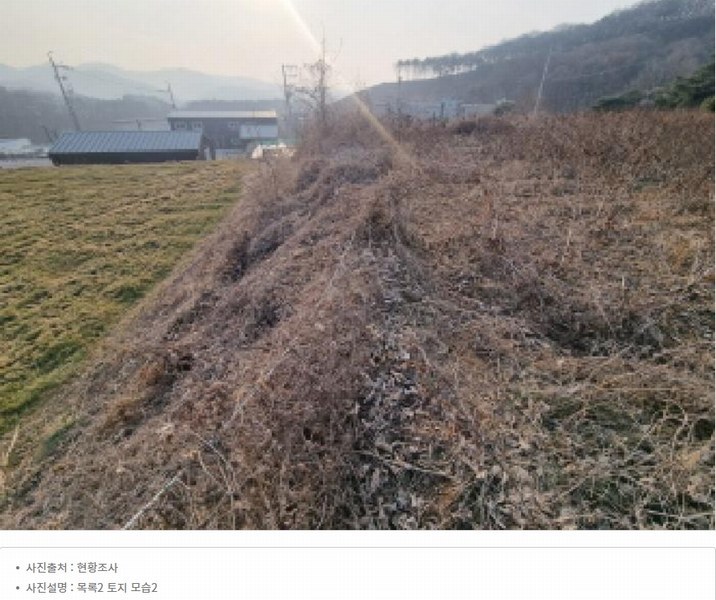 2025타경1689 세종특별자치시 장군면 봉안리 576 농지 경매 이미지