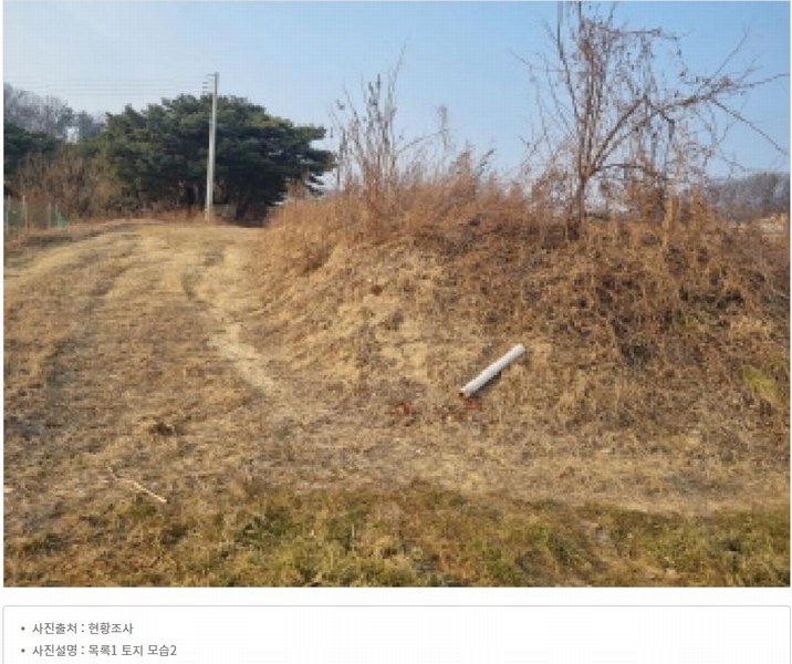 2025타경1689 세종특별자치시 장군면 봉안리 576 농지 경매 이미지