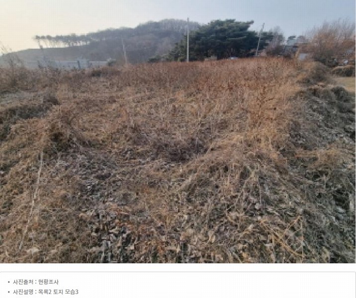 2025타경1689 세종특별자치시 장군면 봉안리 576 농지 경매 이미지