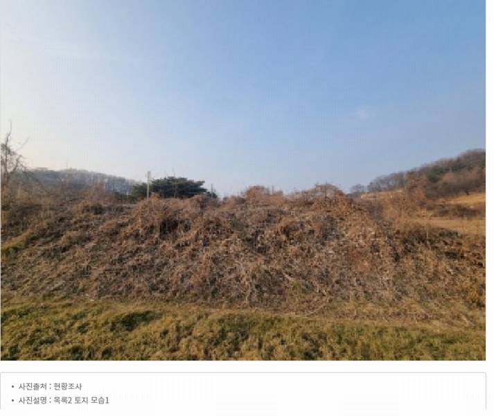 2025타경1689 세종특별자치시 장군면 봉안리 576 농지 경매 이미지