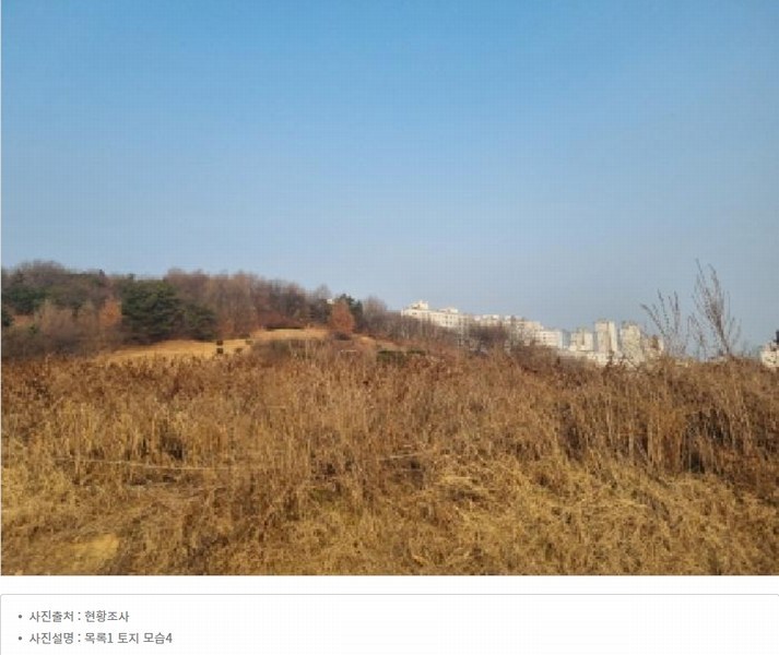 2025타경1689 세종특별자치시 장군면 봉안리 576 농지 경매 이미지