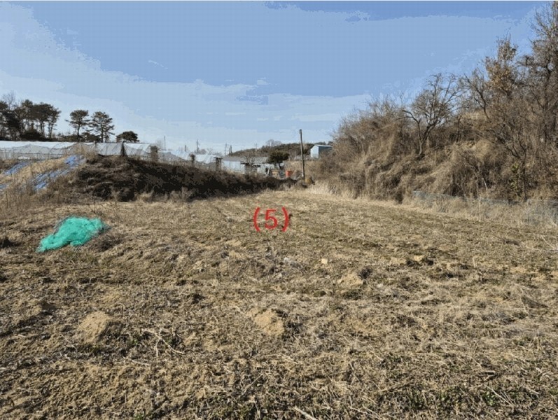 2025타경1689 세종특별자치시 장군면 봉안리 576 농지 경매 이미지