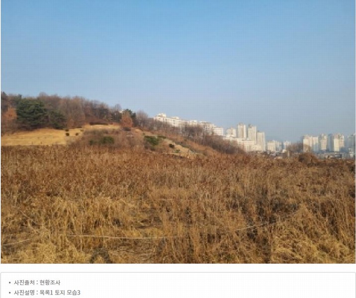 2025타경1689 세종특별자치시 장군면 봉안리 576 농지 경매 이미지