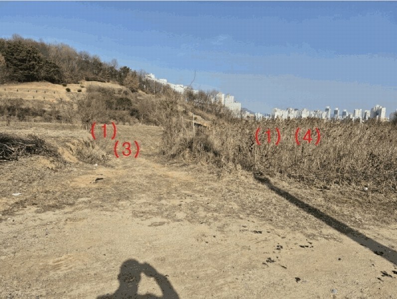 2025타경1689 세종특별자치시 장군면 봉안리 576 농지 경매 이미지