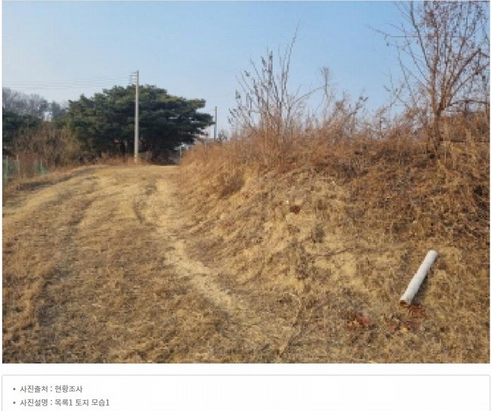 2025타경1689 세종특별자치시 장군면 봉안리 576 농지 경매 이미지