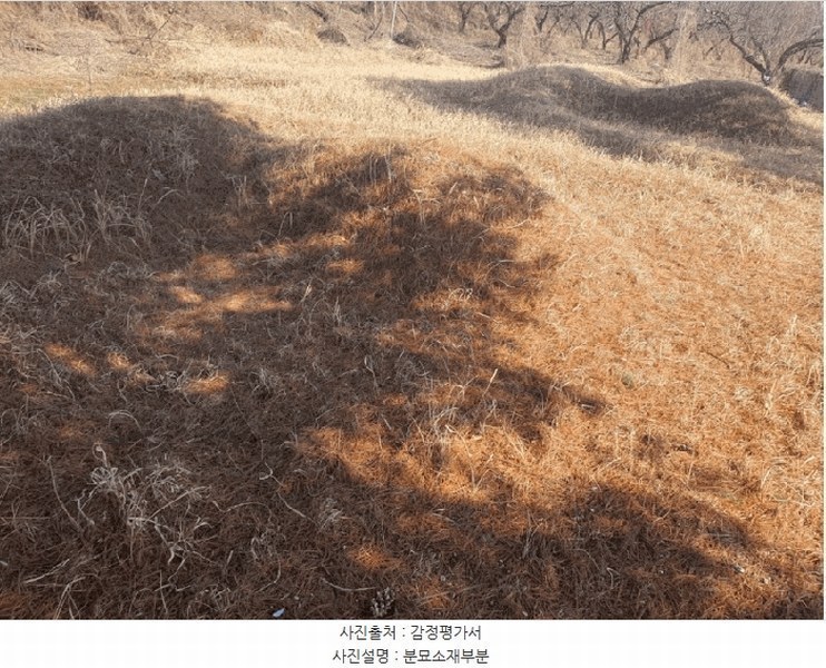 2025타경501784 세종특별자치시 연서면 월하리 876-2 과수원 경매 이미지