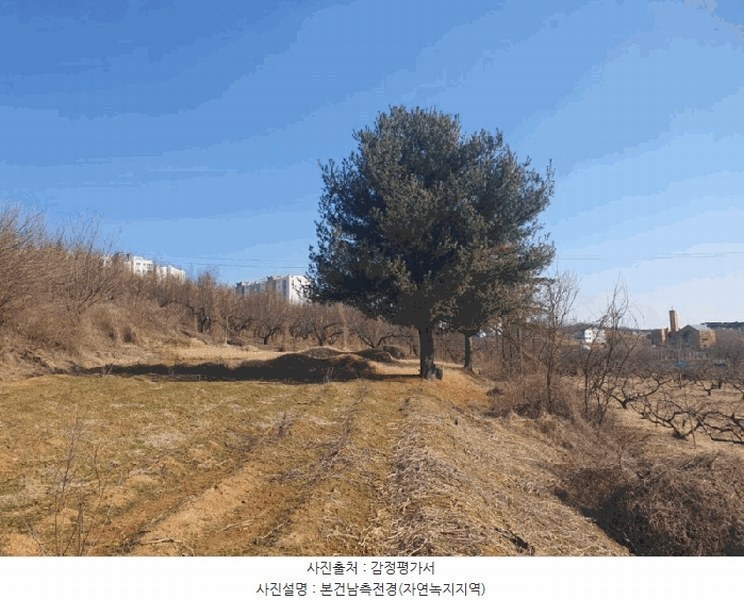 2025타경501784 세종특별자치시 연서면 월하리 876-2 과수원 경매 이미지