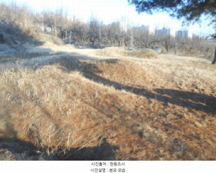 2025타경501784 세종특별자치시 연서면 월하리 876-2 과수원 경매 이미지