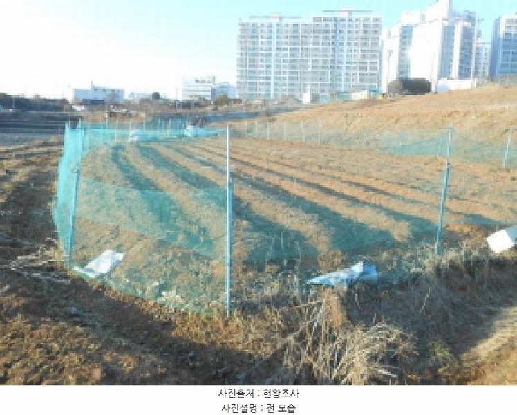 2025타경501784 세종특별자치시 연서면 월하리 876-2 과수원 경매 이미지