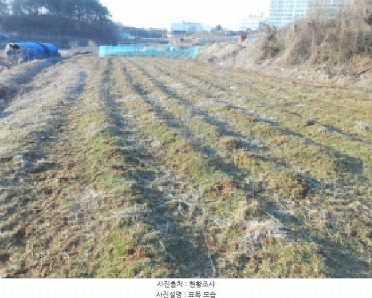 2025타경501784 세종특별자치시 연서면 월하리 876-2 과수원 경매 이미지