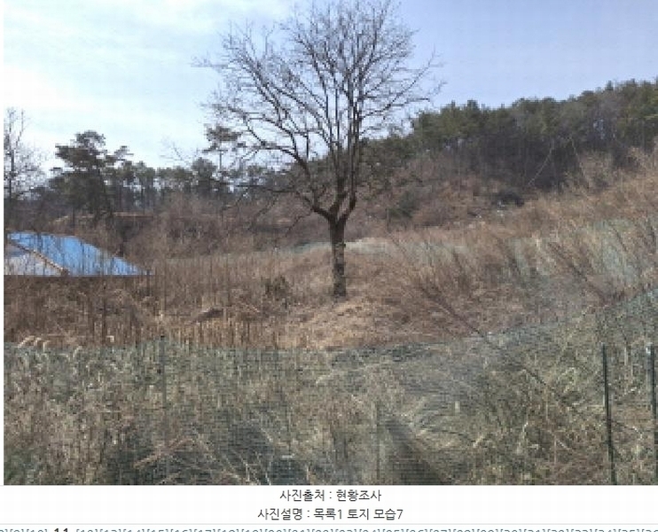 2025타경501844 대전광역시 서구 용촌동 465 대지 경매 이미지