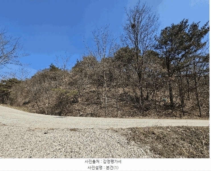 2025타경502004 충청남도 금산군 군북면 외부리 산10-1 임야 경매 이미지