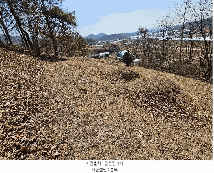 2025타경502004 충청남도 금산군 군북면 외부리 산10-1 임야 경매 이미지
