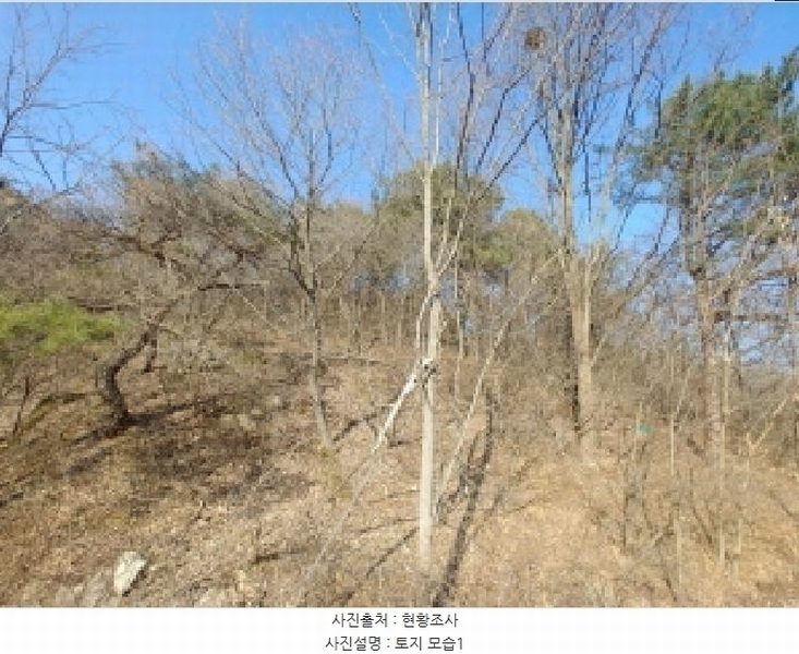 2025타경502004 충청남도 금산군 군북면 외부리 산10-1 임야 경매 이미지