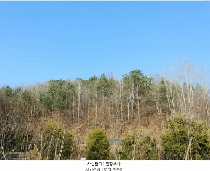 2025타경502004 충청남도 금산군 군북면 외부리 산10-1 임야 경매 이미지