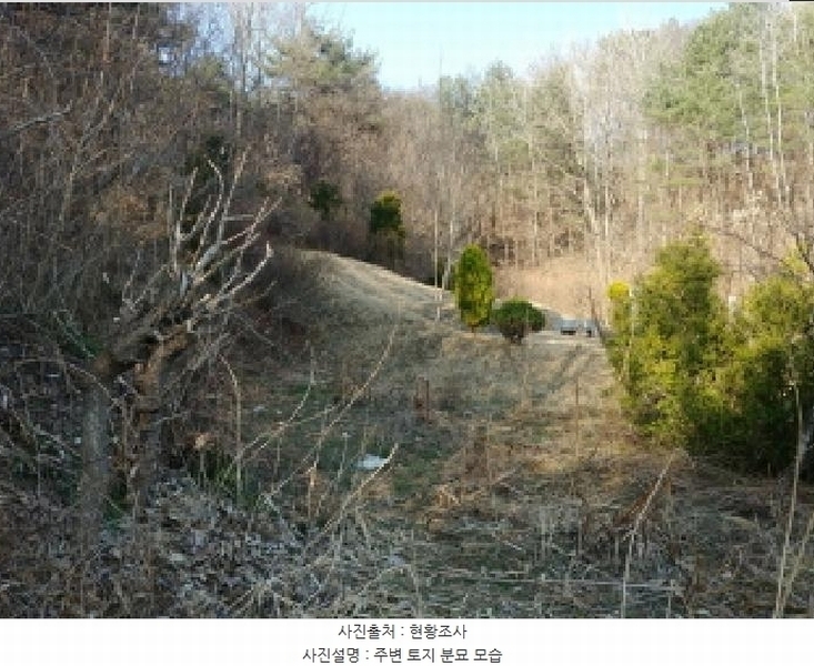 2025타경502004 충청남도 금산군 군북면 외부리 산10-1 임야 경매 이미지