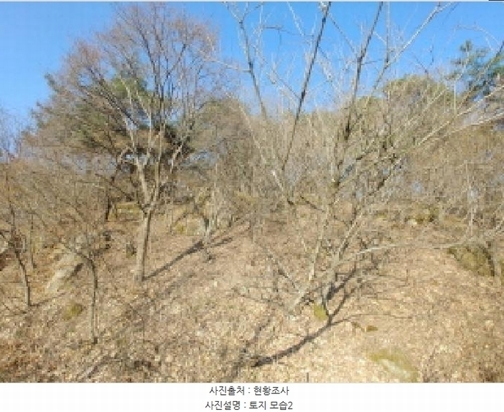 2025타경502004 충청남도 금산군 군북면 외부리 산10-1 임야 경매 이미지