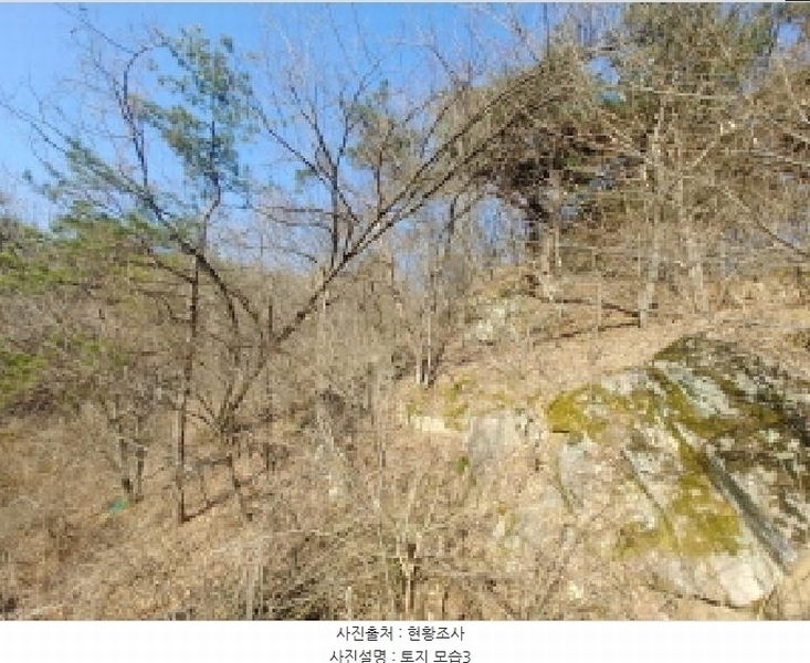2025타경502004 충청남도 금산군 군북면 외부리 산10-1 임야 경매 이미지