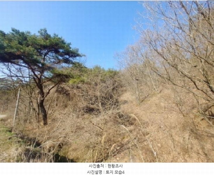 2025타경502004 충청남도 금산군 군북면 외부리 산10-1 임야 경매 이미지