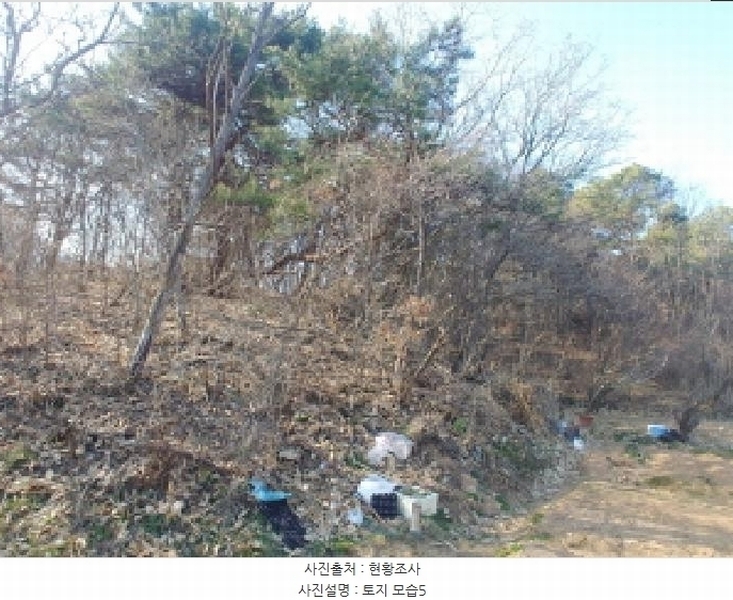 2025타경502004 충청남도 금산군 군북면 외부리 산10-1 임야 경매 이미지