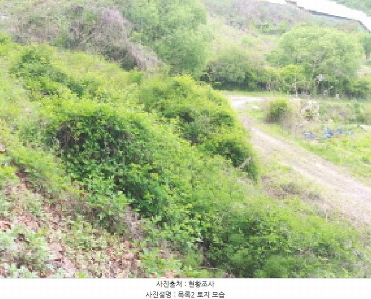 2025타경502272 충청남도 금산군 제원면 동곡리 617-1 도로 경매 이미지