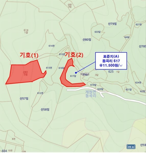 2025타경502272 충청남도 금산군 제원면 동곡리 617-1 도로 경매 이미지