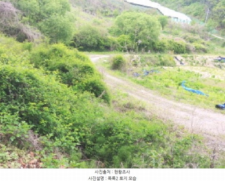 2025타경502272 충청남도 금산군 제원면 동곡리 617-1 도로 경매 이미지