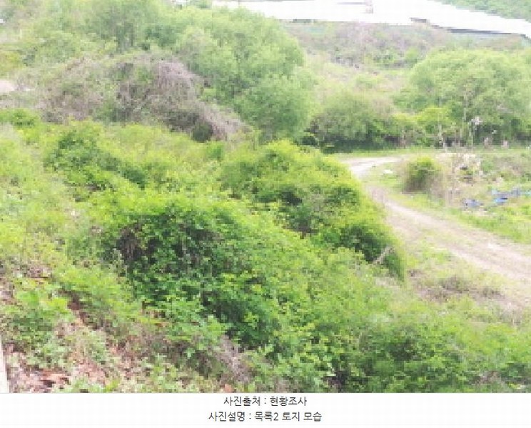 2025타경502272 충청남도 금산군 제원면 동곡리 617-1 도로 경매 이미지