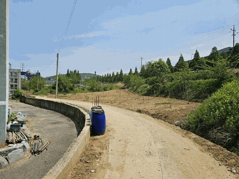 2025타경502376 세종특별자치시 전의면 관정리 261 농지 경매 이미지