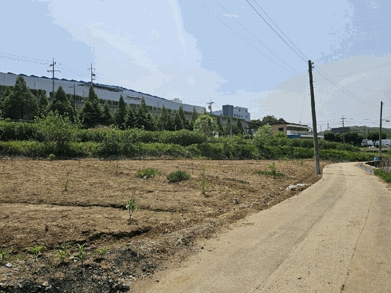 2025타경502376 세종특별자치시 전의면 관정리 261 농지 경매 이미지