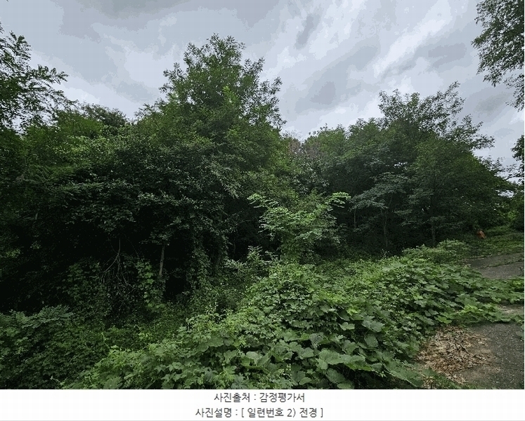 2025타경10650 경상북도 경주시 외동읍 석계리 950-1 임야 경매 이미지