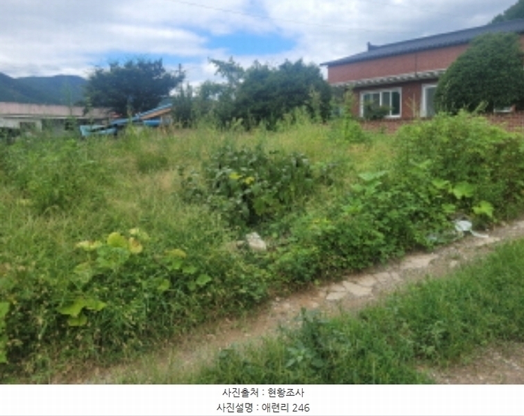 2024타경118887 경상북도 영천시 청통면 애련리 246 대지 경매 이미지