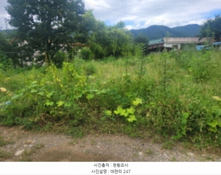 2024타경118887 경상북도 영천시 청통면 애련리 246 대지 경매 이미지