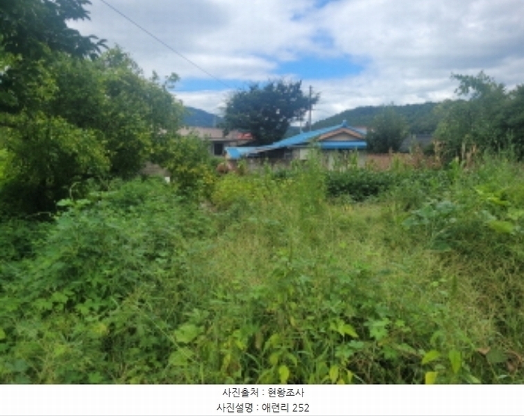 2024타경118887 경상북도 영천시 청통면 애련리 246 대지 경매 이미지