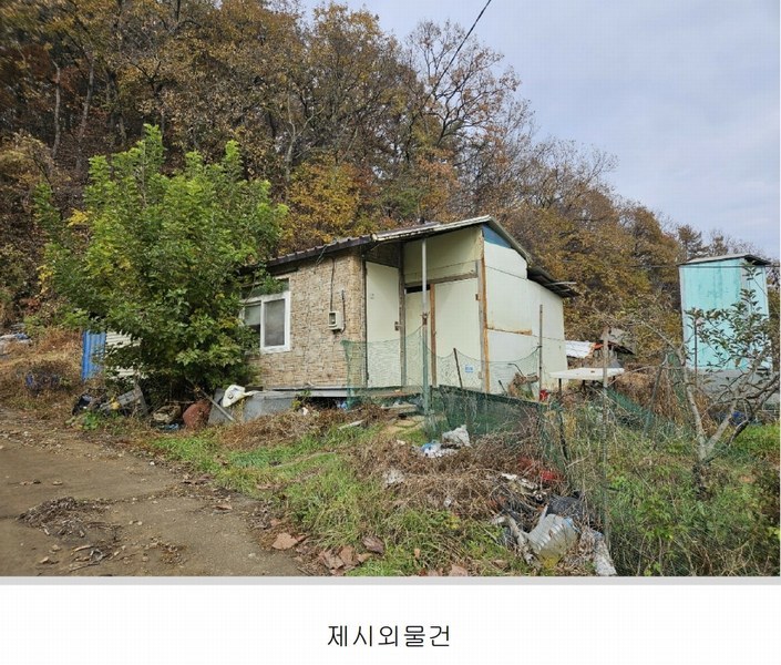 2024타경121746 세종특별자치시 전동면 노장리 505 농지 경매 이미지
